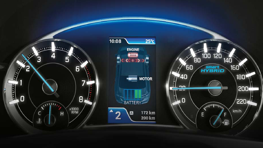 MULTI - INFORMATION DISPLAY
