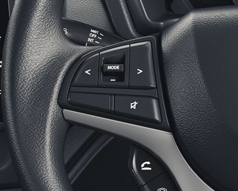 Steering Mounted Controls